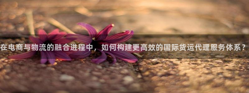 okpay钱包官网版v6.0.21：在电商与物流的融合进