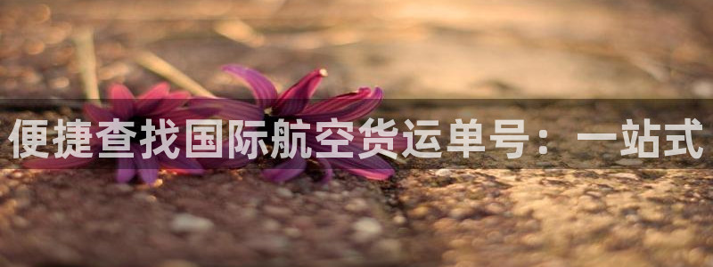 okpay钱包怎么下载不了：便捷查找国际航空货运单号：一