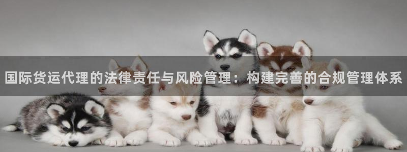 okpay下载钱包：国际货运代理的法律责任与风险管理：构