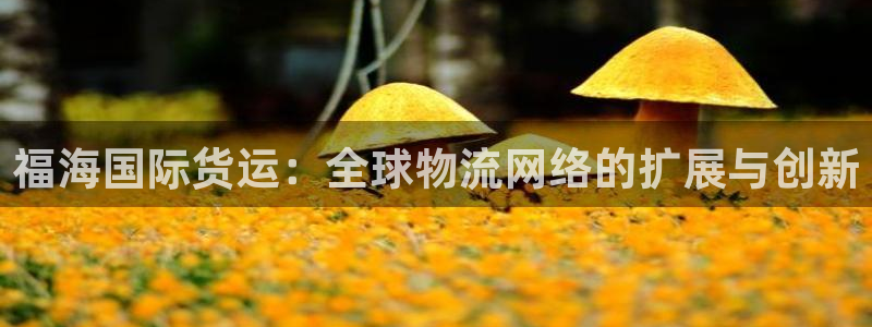 okpay下载钱包：福海国际货运：全球物流网络的扩展与创