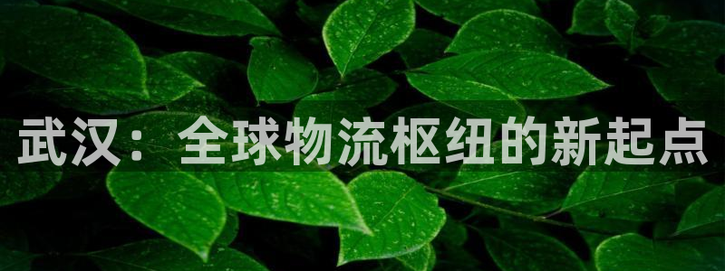 okpay钱包实名认证有风险吗：武汉：全球物流枢纽的新起