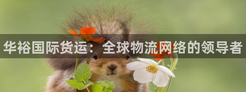 okpay钱包下载网址：华裕国际货运：全球物流网络的领导