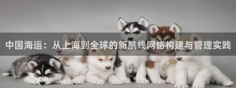 okpay钱包客服怎么联系：中国海运：从上海到全球的新航