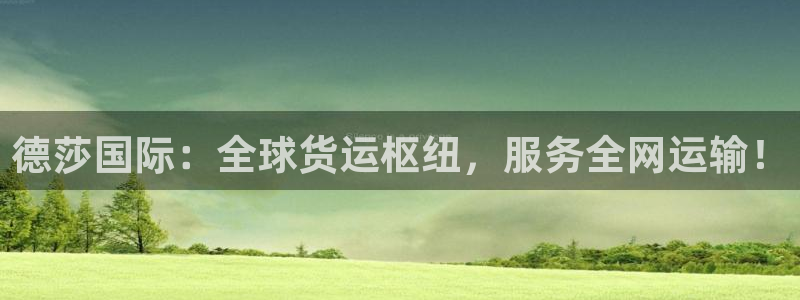 okpay钱包gopay哪个好：德莎国际：全球货运枢纽，