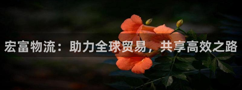 怎样下载okpay钱包：宏富物流：助力全球贸易，共享高效