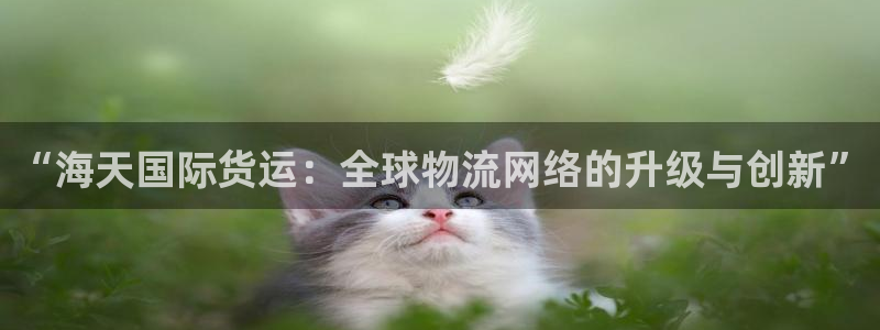 okpay钱包最新下载地址：“海天国际货运：全球物流网络
