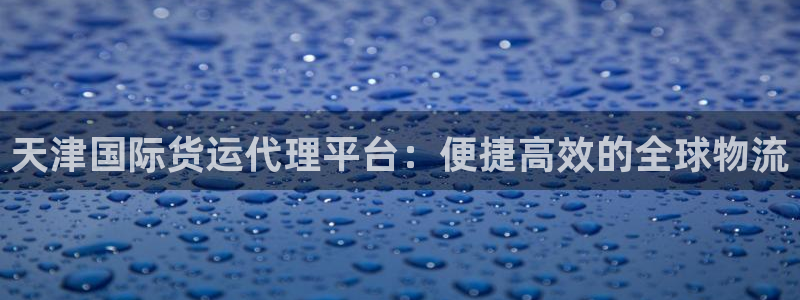okpay钱包怎么充值：天津国际货运代理平台：便捷高效的