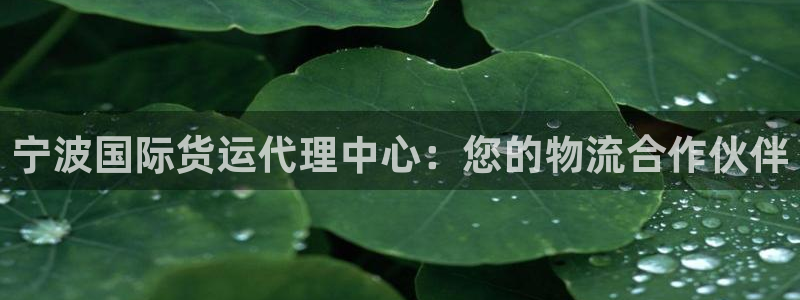 okpay钱包旧版本：宁波国际货运代理中心：您的物流合作