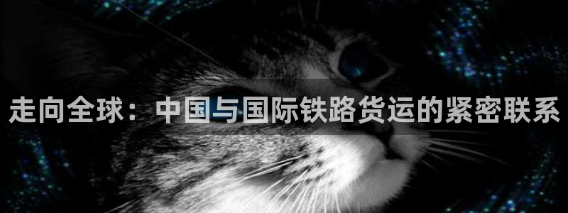 okpay钱包是什么：走向全球：中国与国际铁路货运的紧密