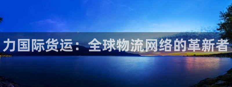 okpay钱包好用吗：力国际货运：全球物流网络的革新者