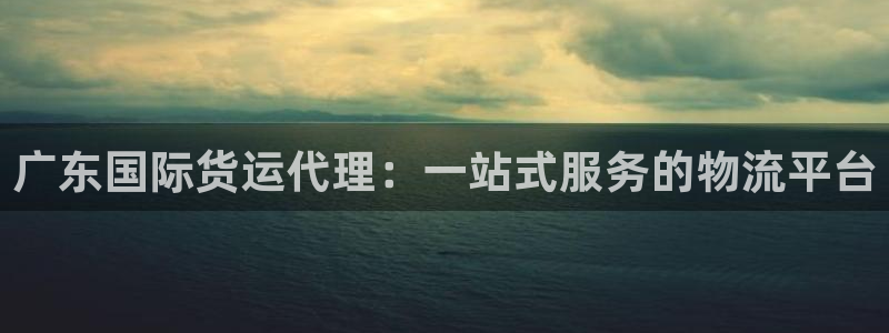 okpay钱包手机版：广东国际货运代理：一站式服务的物流