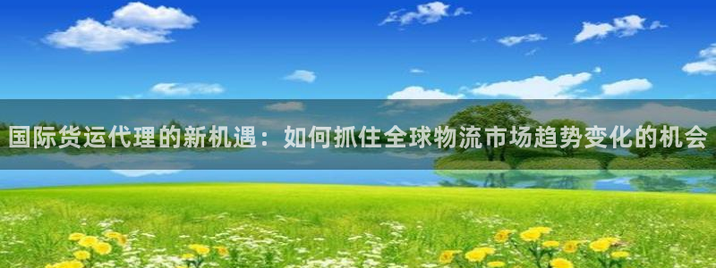 okpay钱包靠谱吗：国际货运代理的新机遇：如何抓住全球