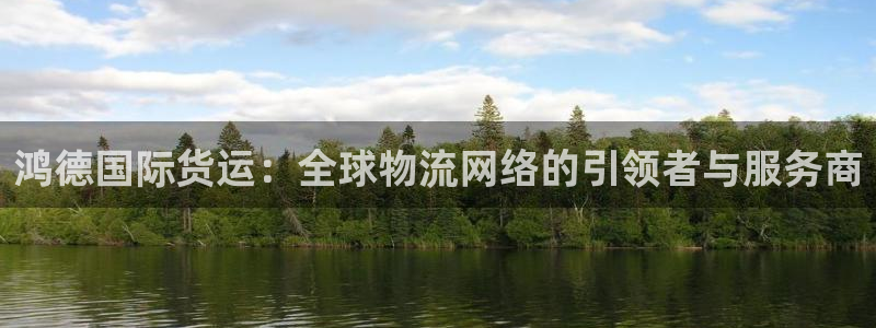 okpay钱包最新版安卓版：鸿德国际货运：全球物流网络的