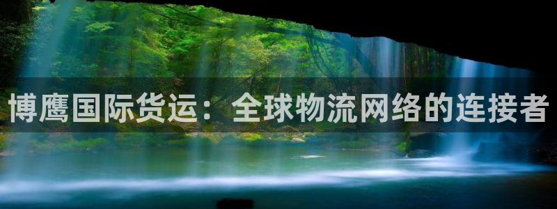 okpay钱包是正规平台吗：博鹰国际货运：全球物流网络的
