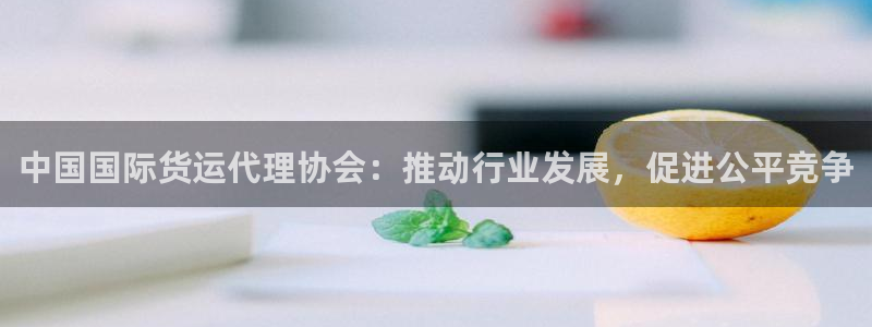 okpay777钱包最新版本：中国国际货运代理协会：推动