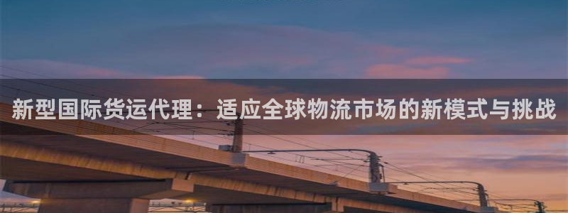 okpay钱包靠谱吗：新型国际货运代理：适应全球物流市场