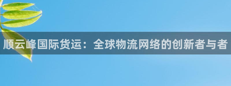 okpay钱包倒闭了没：顺云峰国际货运：全球物流网络的创