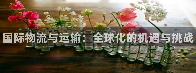 okpay钱包是正规的吗：国际物流与运输：全球化的机遇与