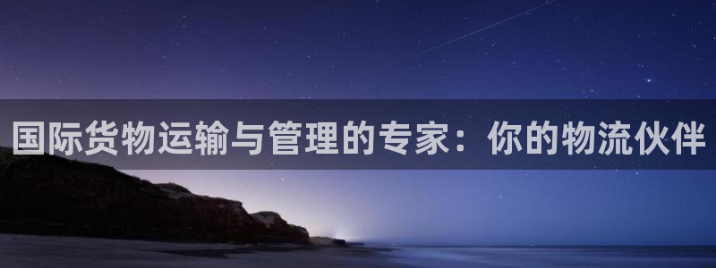 okpay钱包提现方法：国际货物运输与管理的专家：你的物
