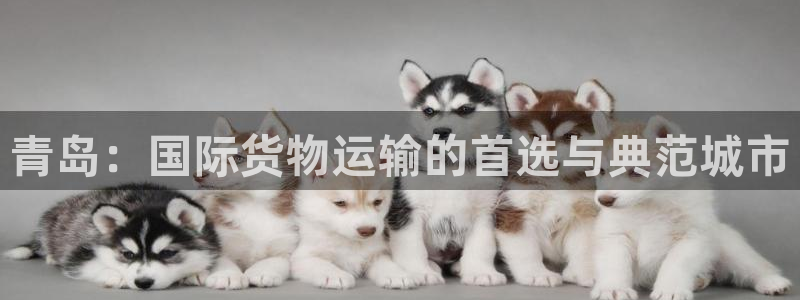 okpay支付钱包下载最新：青岛：国际货物运输的首选与典