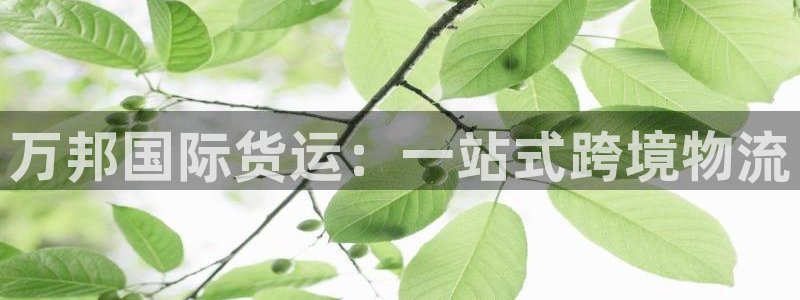 okpay钱包苹果版：万邦国际货运：一站式跨境物流